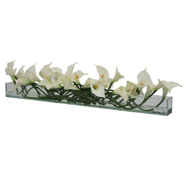 Weiß Callas Glas Plate Pflanzgefäß