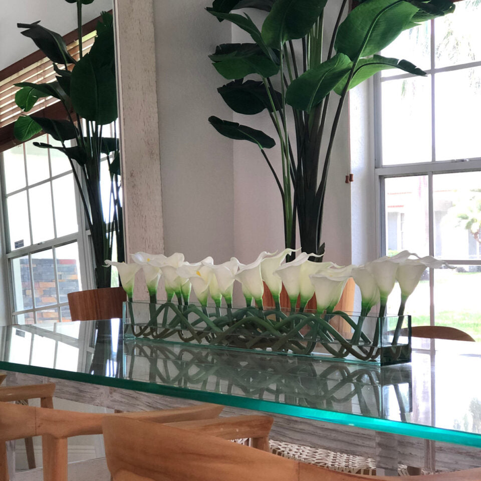 Weiß Callas Glas Plate Pflanzgefäß ·