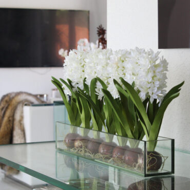 Weiß Hyacinths Glas Plate Pflanzgefäß