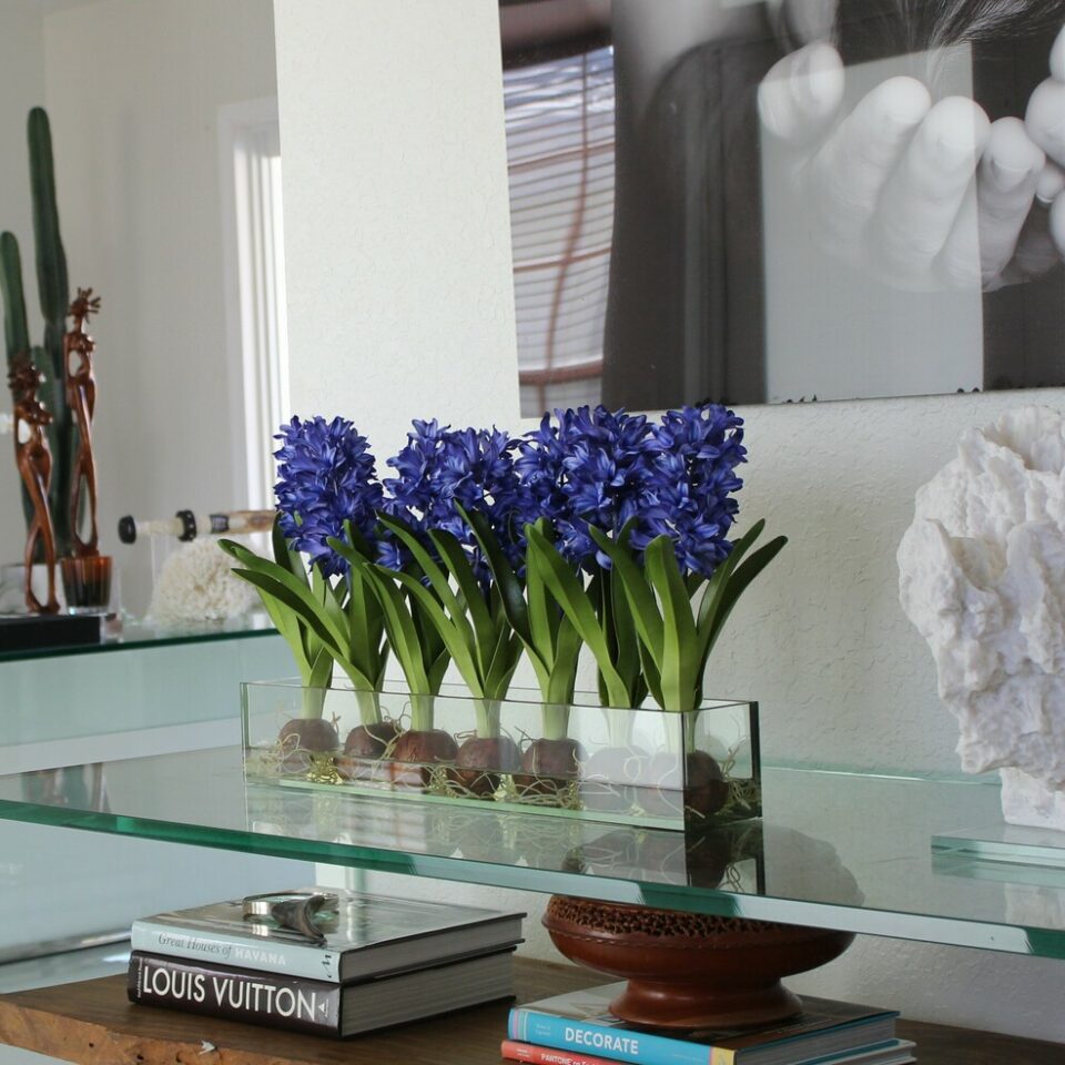 Blau Hyacinths Glas Plate Pflanzgefäß