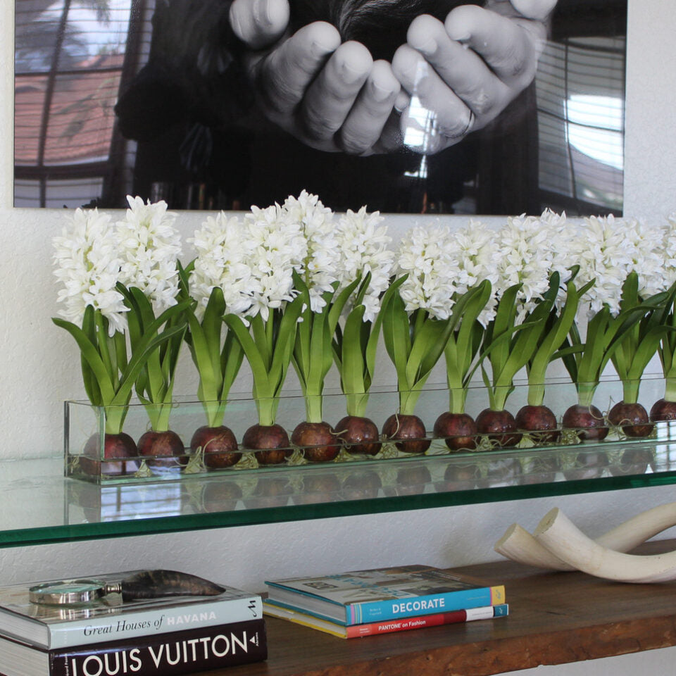 Weiß Hyacinths Glas Plate Pflanzgefäß