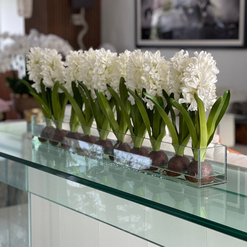 Weiß Hyacinths Glas Plate Pflanzgefäß