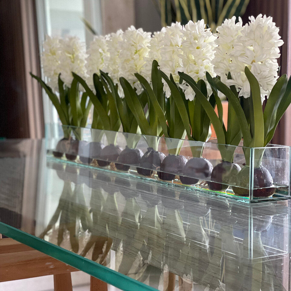 Weiß Hyacinths Glas Plate Pflanzgefäß